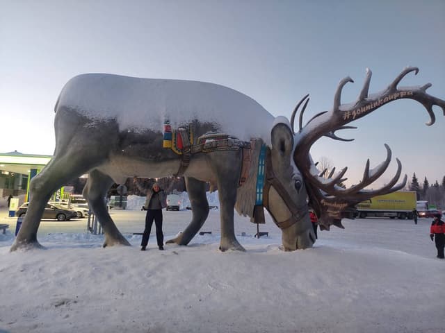 Foto 2 von Ivan D. (6.1.26)