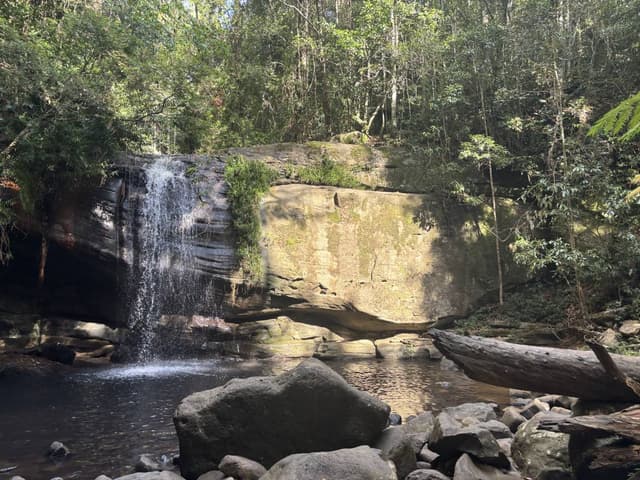 Photo 1 by Abbey P. (10/18/25)