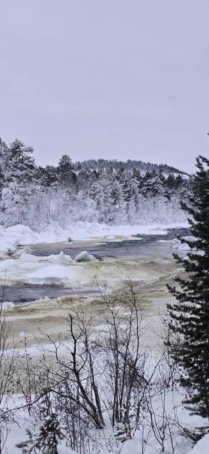 Foto 1 van Riette M. (25-1-26)