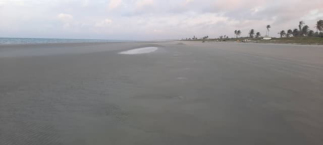 Foto 4 di FAUSTO G. sul noleggio di una Peugeot 208 in Brasile (08/08/23)