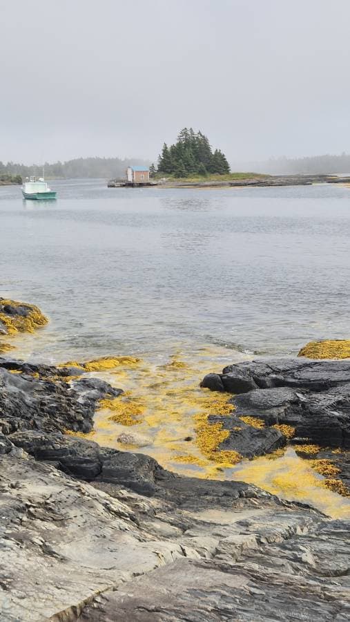 Photo 2 by meir D. (8/15/25)