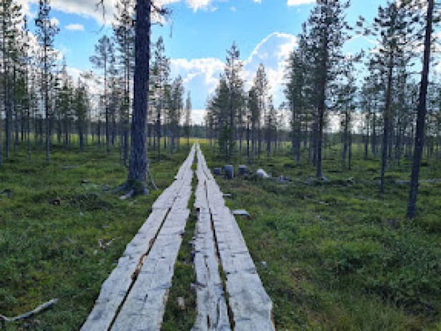 Henkilön Annu H. (21.8.23)