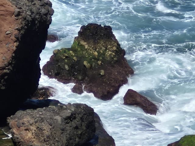 Foto 4 von Angelika P. (4.4.26)