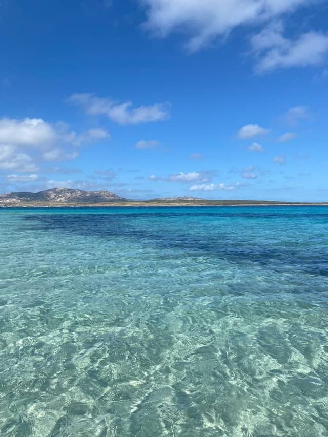 Photo 1 by Magdalena C. about renting a Volkswagen Up at Alghero Fertilia Airport (5/12/24)
