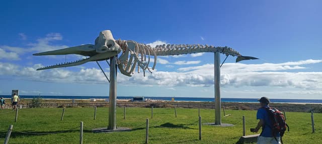 Foto 2 von Rosemarie H. (14.12.25)