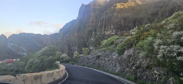 Photo 1 by Peter F. (4/13/26)