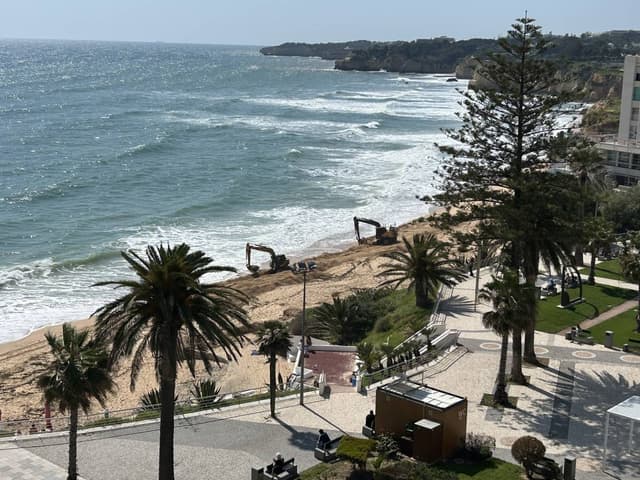 Photo 2 by Robert A. (4/5/26)