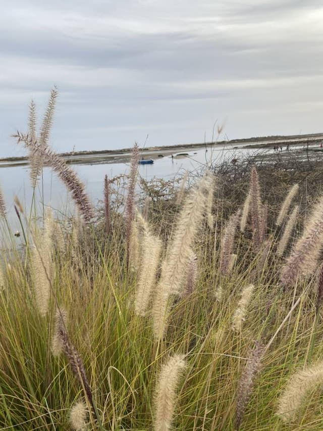 Photo 2 par SANDRA R. (17/10/25)