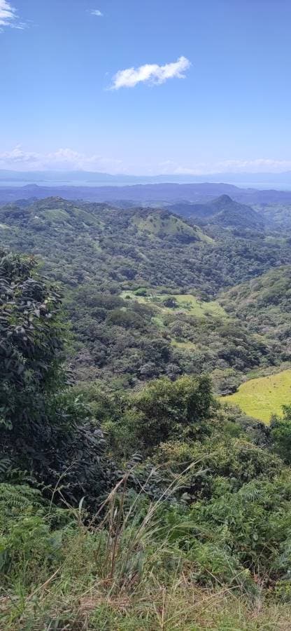 Billede 2 af Laura W. om at leje en Hyundai Creta i Costa Rica (12/17/23)