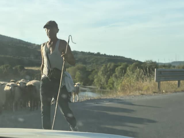 Photo 7 by Duane E. (6/21/26)