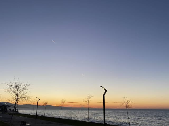 Photo 2 by Mustafa G. (1/8/24)