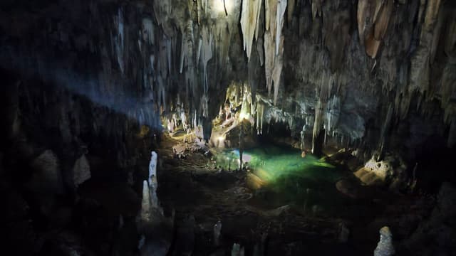 Foto 3 von Claudia D. (12.1.24)