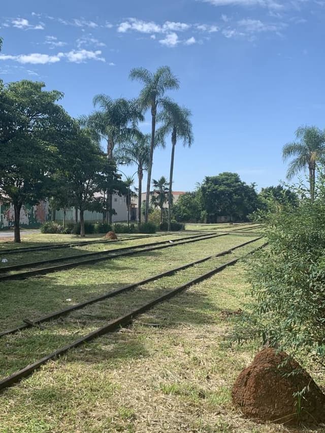 Foto 2 van Johannes Willem D. (20-2-24)