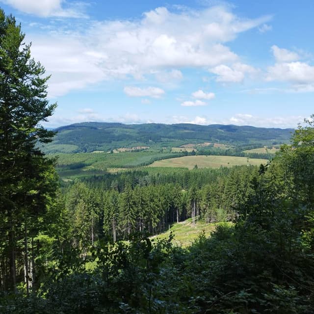 Zdjęcie wykonane przez Emilia C. dotyczące wynajmu Opel Corsa w Polsce dnia (18.07.25)