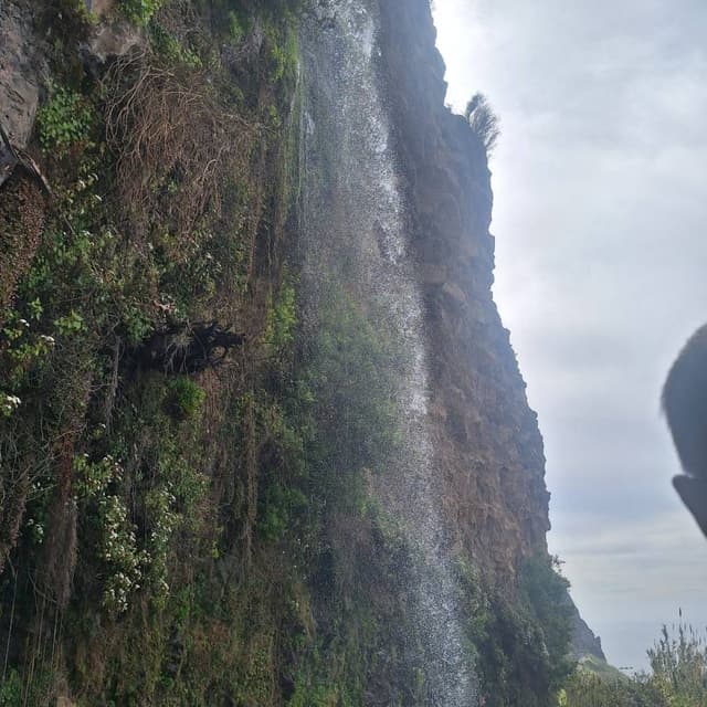 Foto 3 van Johan T. (5-4-26)