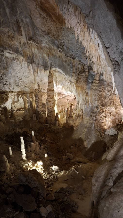 Foto 1 di Costantino S. (28/03/26)