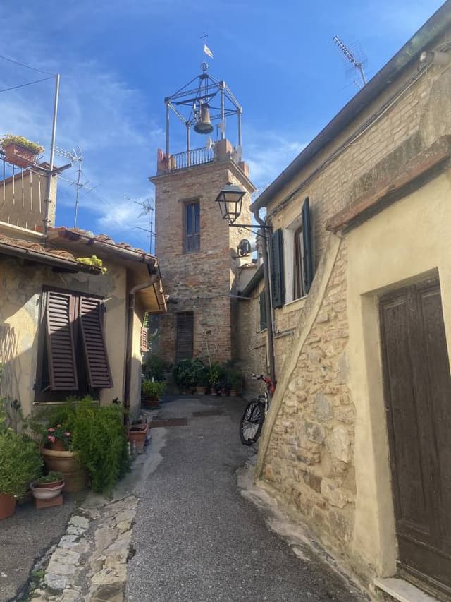 Photo 1 by Martin H. (10/20/25)