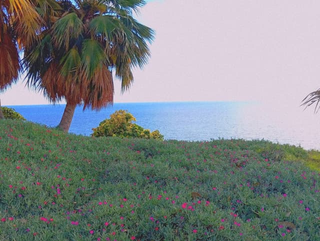 Foto 3 di Massimo D. (04/01/26)