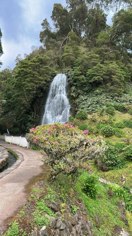 Foto 2 de Ana Cristina C. sobre o aluguer de um Kia Picanto em Ponta Delgada (11/05/25)