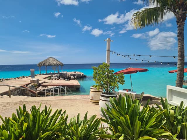 Foto 6 van Don R. (19-11-25)