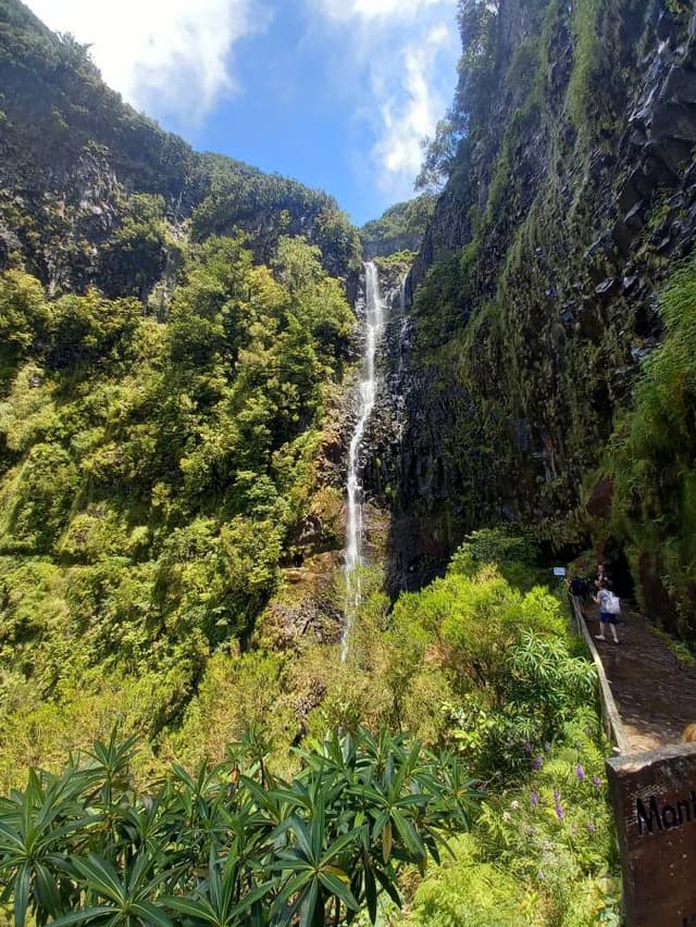 Photo 1 by Ronaldus Wilhelmus V. about renting a Seat Arona in Funchal (6/24/23)