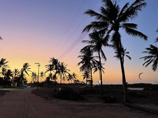 Photo 2 by Amber V. (10/16/24)