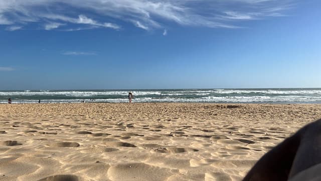 Photo 2 by Paul B. (1/4/23)