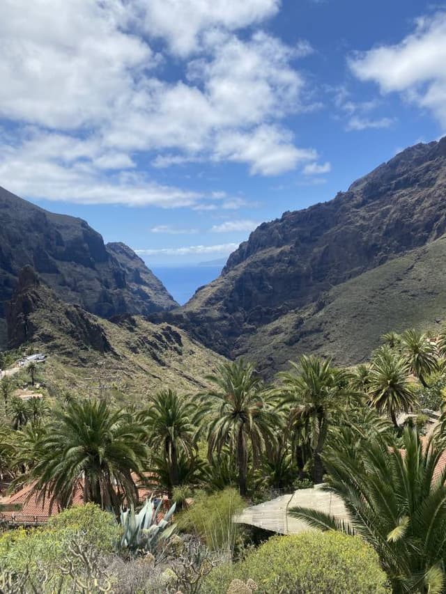 Photo 2 by Iosif N. about renting a Skoda Karoq in Tenerife (5/10/24)