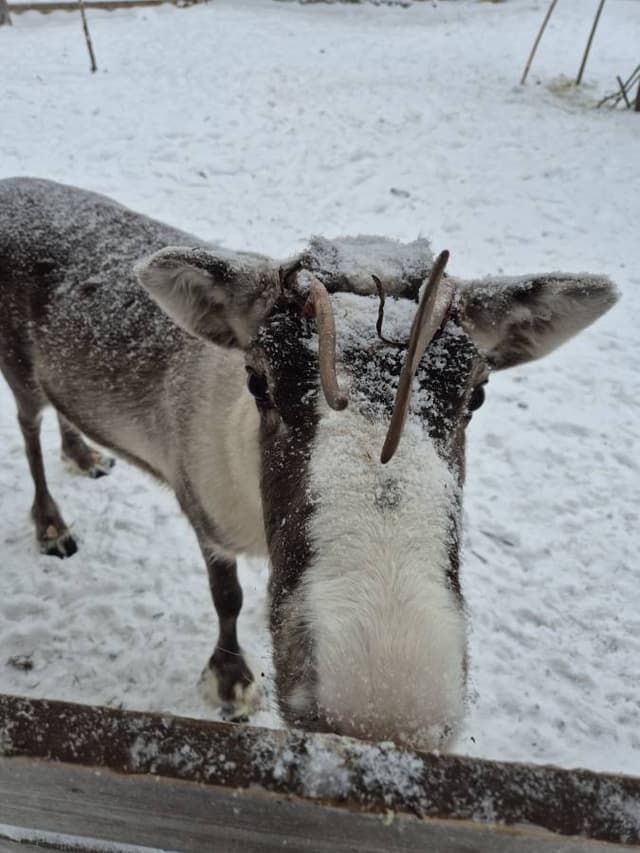 Photo by Fidelma B. (3/25/26)