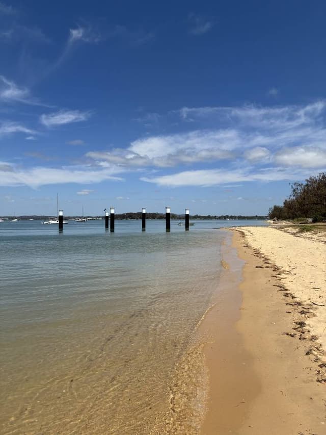 Photo 1 by Ricardo G. (10/24/25)