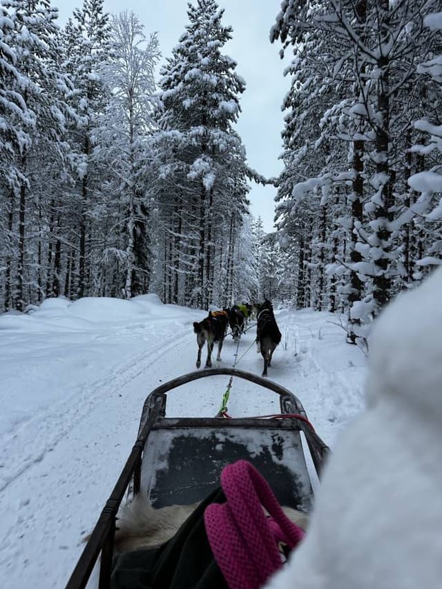 Photo 3 par Philippe L. sur la location d'un Volkswagen Golf à l’aéroport de Rovaniemi (17/12/23)