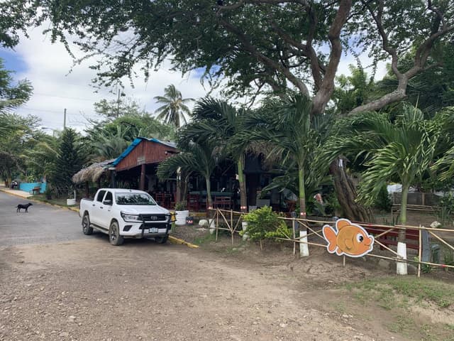 Photo 4 by Michal G. (11/15/25)