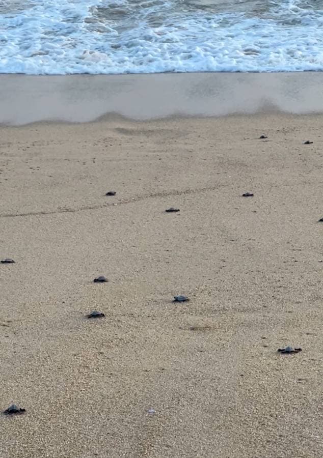 Photo 2 by Tina Dan W. (12/4/25)