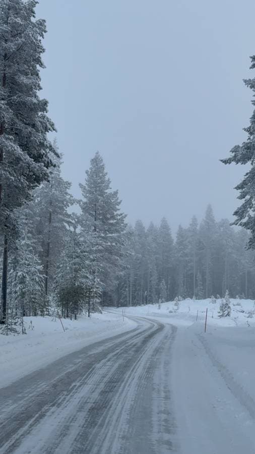 Photo 1 par Virginie G. (21/01/26)