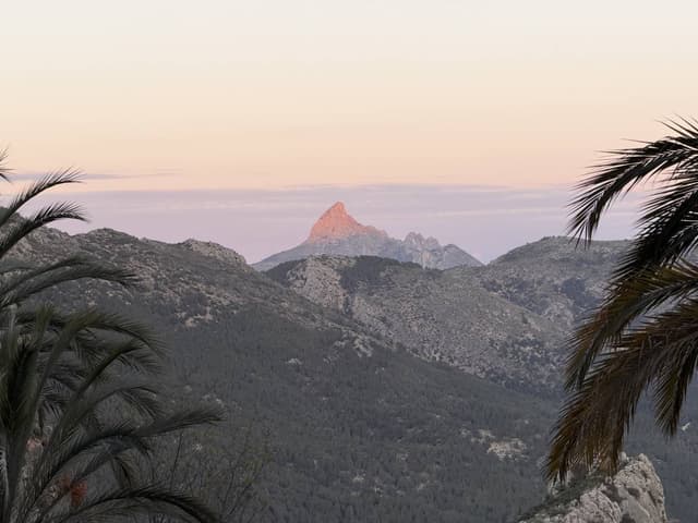 Photo 1 by Chirag S. (4/3/26)