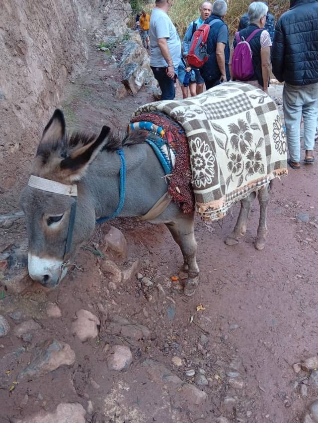 Photo 6 par Gilbert C. (28/01/26)