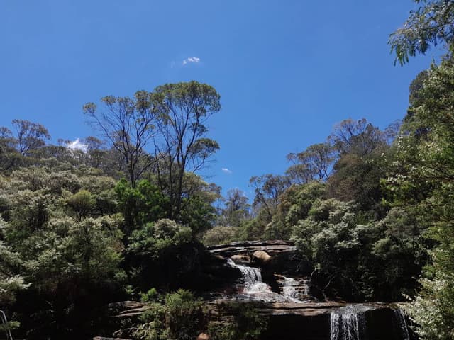 Photo 3 by Anthony H. about renting a Kia Stonic in Sydney (12/20/23)