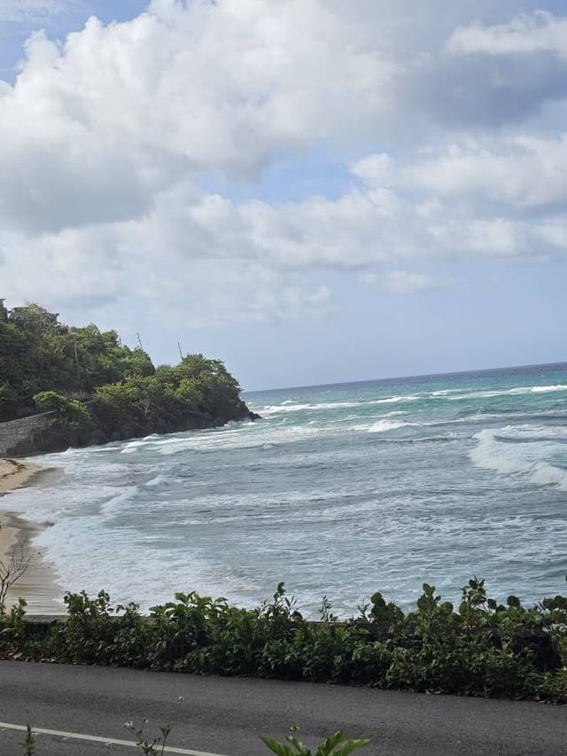 Photo 1 by Sheryleen M. about renting a Toyota Wish in Jamaica (8/6/24)