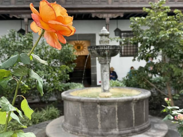 Billede af Anders K. (6.2.26)