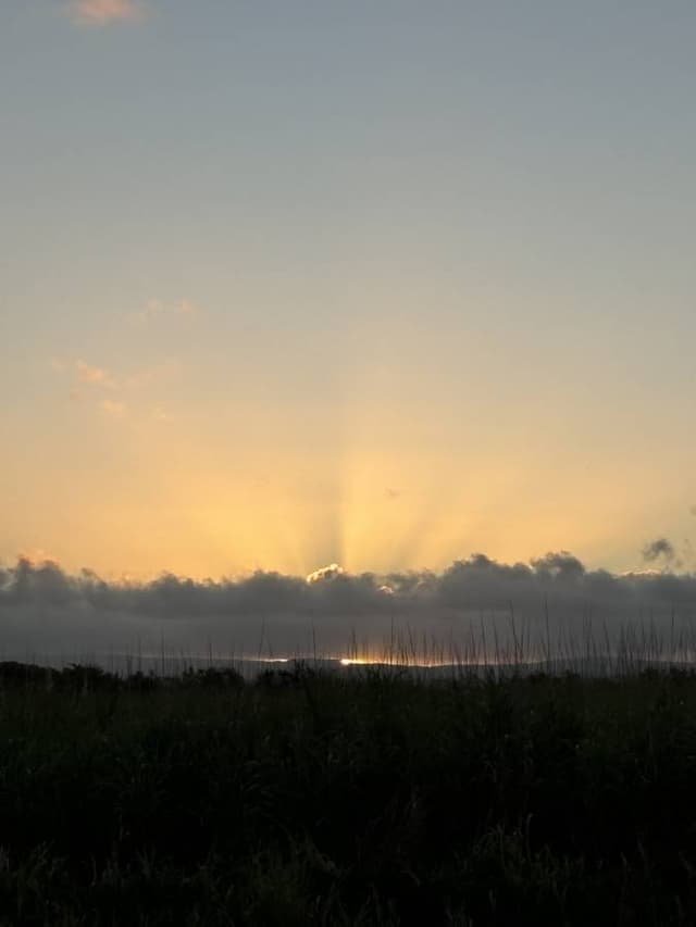 Photo 3 by Christopher K. about renting a Suzuki Swift at Mauritius Airport (8/17/24)