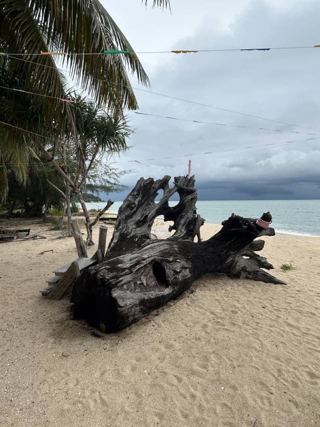 Photo 2 by Paul D. (10/26/25)