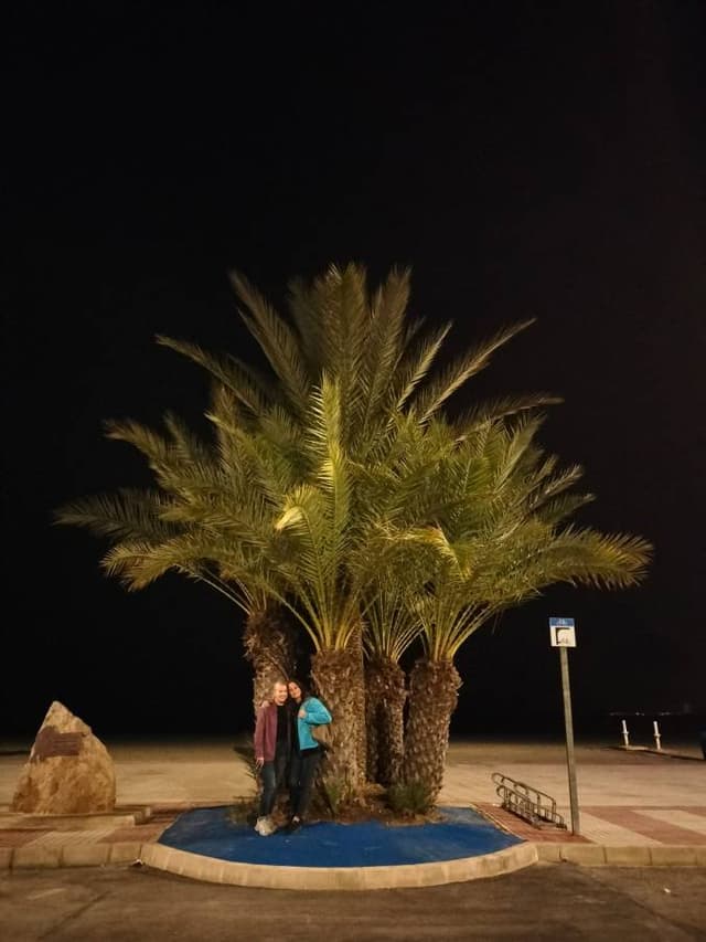 Zdjęcie 6 wykonane przez Tomasz Z. (12.12.25)