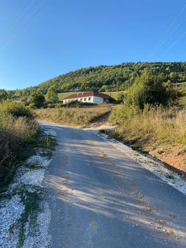 Foto 1 von Ljubisa V. (30.9.24)