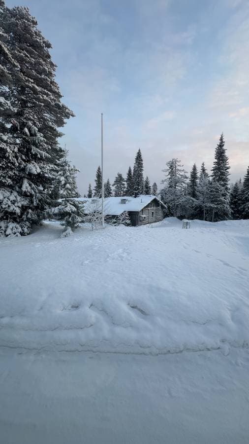 Foto 2 de Vanessa Angelica J. (10/1/26)