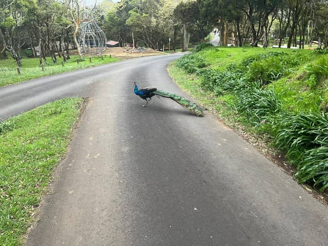 Foto 1 de Vladimir S. sobre o aluguer de um Seat Ibiza em Praia da Vitória (05/04/23)
