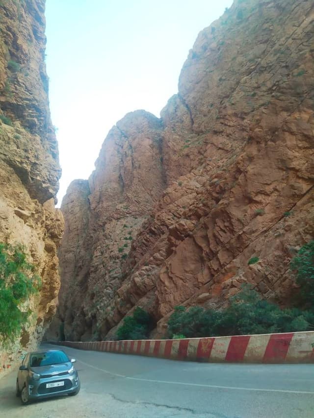 Photo by Dorota H. (5/19/23)