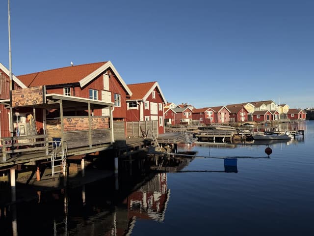 Foto 4 di Arthur M. (02/12/25)