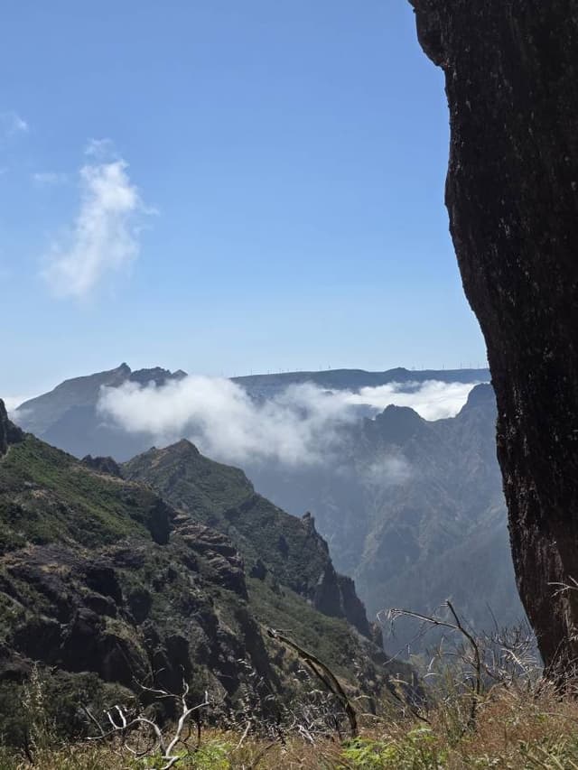 Photo 1 par Hamza K. (22/07/26)