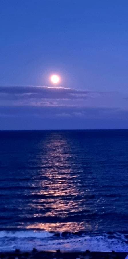 Photo 1 by ZIVILE K. about hiring a Toyota Yaris in Bulgaria (23/10/24)