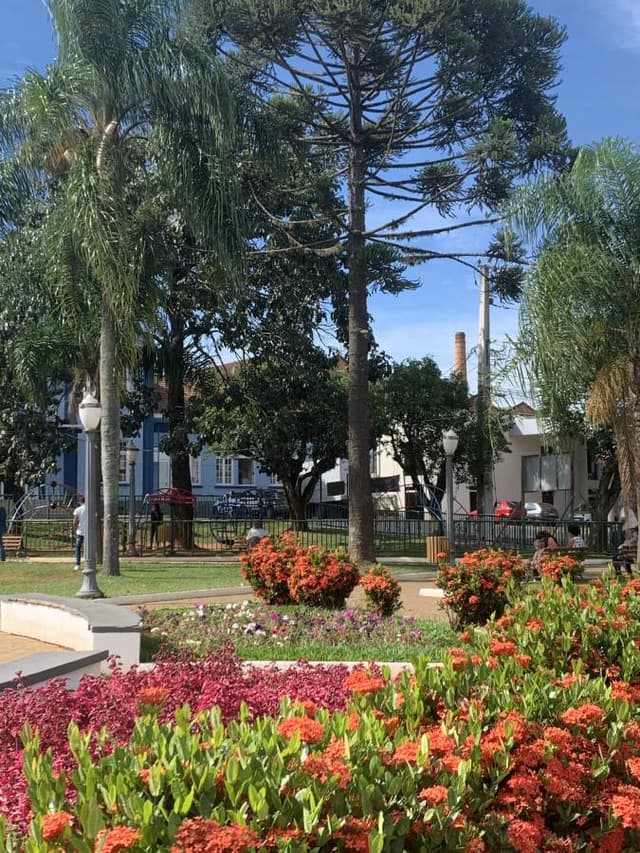 Foto 3 van Johannes Willem D. (20-2-24)